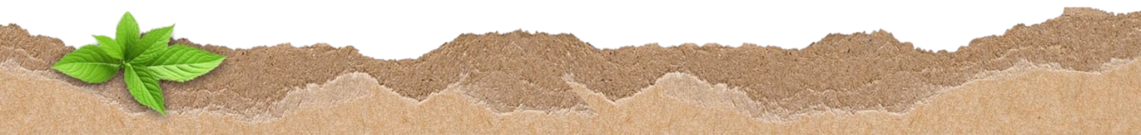 Decorative Footer